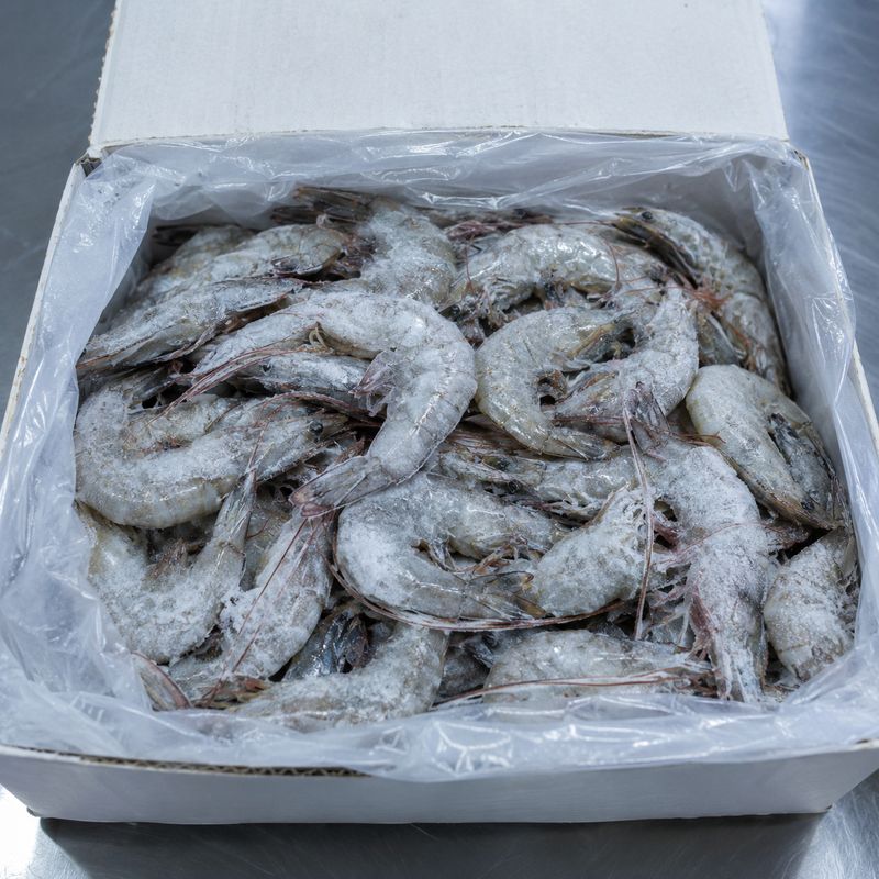 Caja de langostino crudo congelado